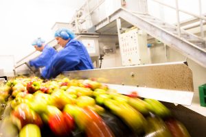 Einblick in die Produktion von Wolfra.