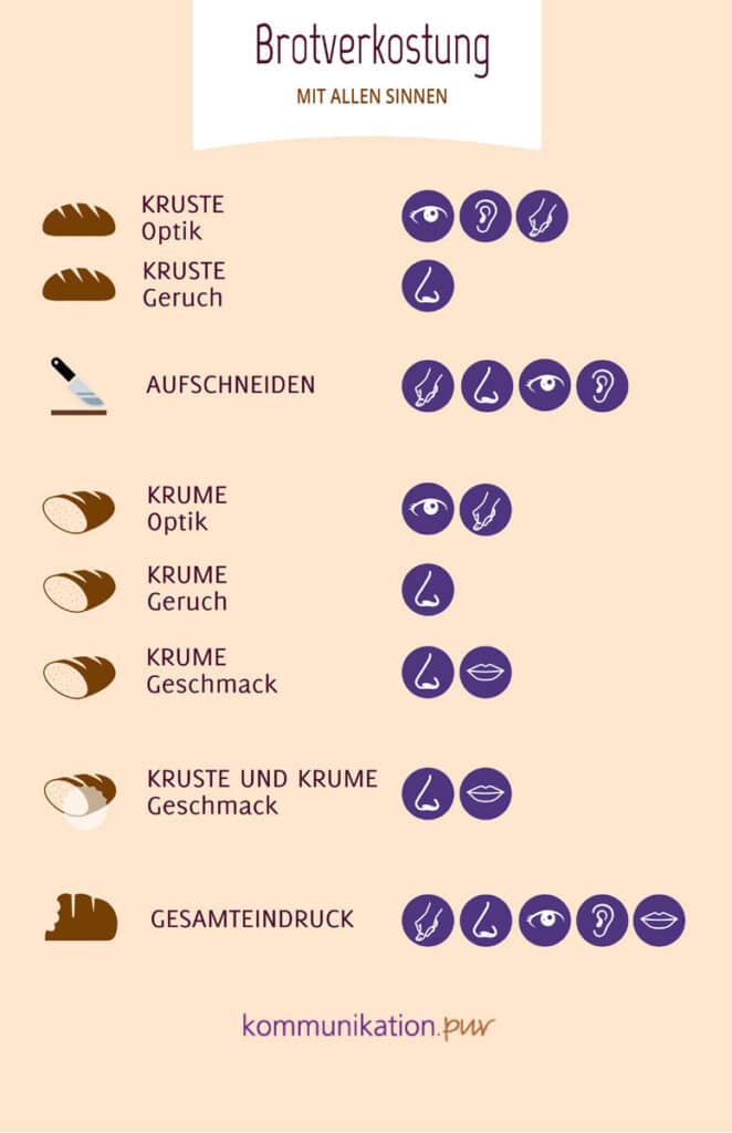 Übersicht Brotverkostung mit allen Sinnen, die dabei hilft Brote in der Sommeliersprache zu beschreiben.
