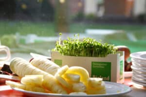 Rübe mit Kresse im Hintergrund