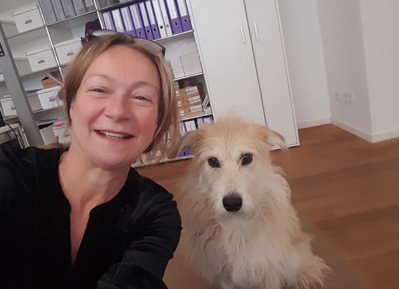 Bürohund: ein Gewinn für alle