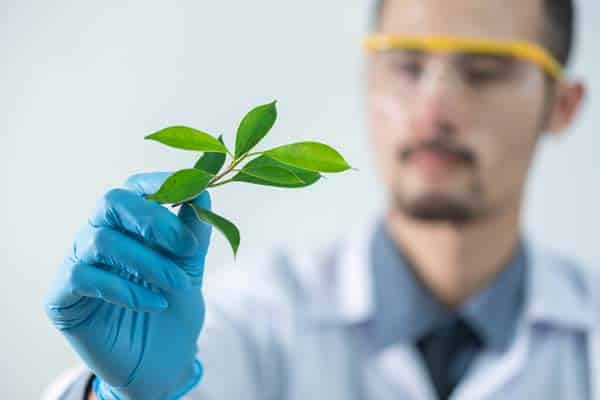 The Green Taste of the Future: Wie Technologie unseren Geschmack und die Lebensmittelproduktion verändert