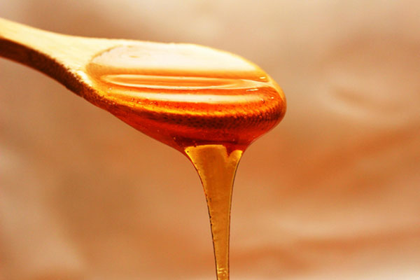 Honig ist die Speise der Götter